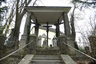 DSC_7016 (Large).JPG